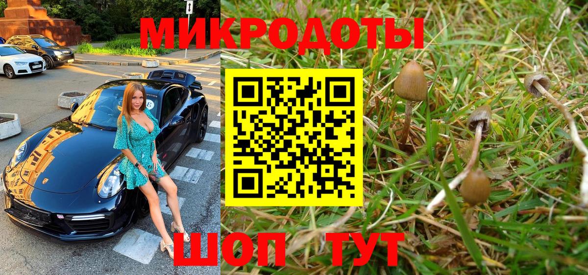 цены наркотик  Вход с VPN  Кимры  Псилоцибиновые грибы мухоморы 