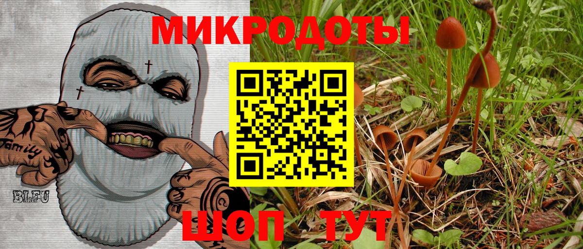 Псилоцибиновые грибы мицелий Кимры