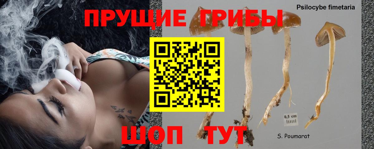 МЕФ   Гашиш  Кимры  Вход с VPN 