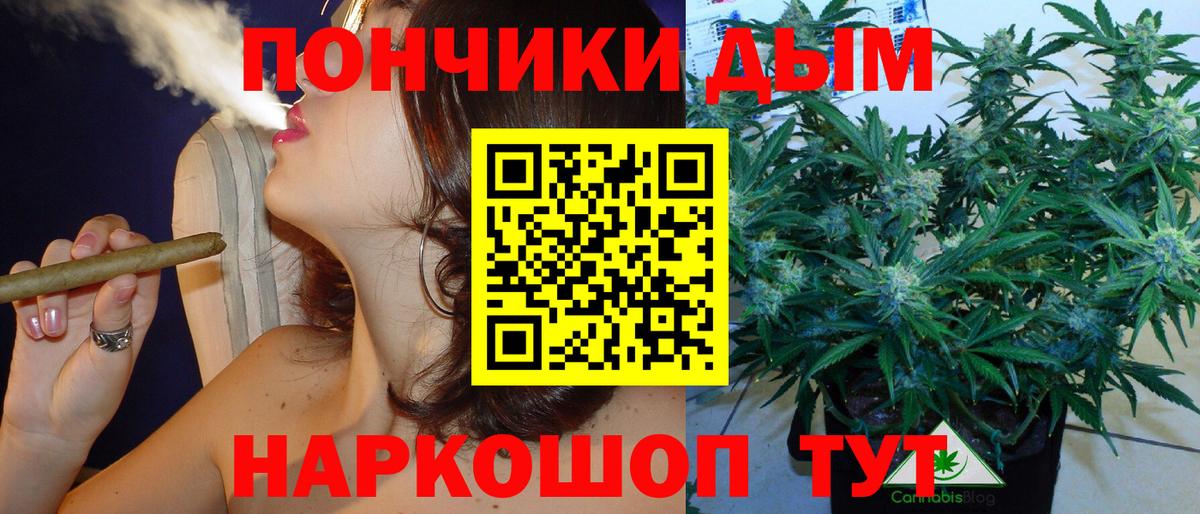 Кимры  Бошки марихуана конопля  Бошки марихуана план  Вход с VPN 
